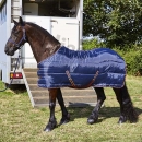 Stable Rugs image