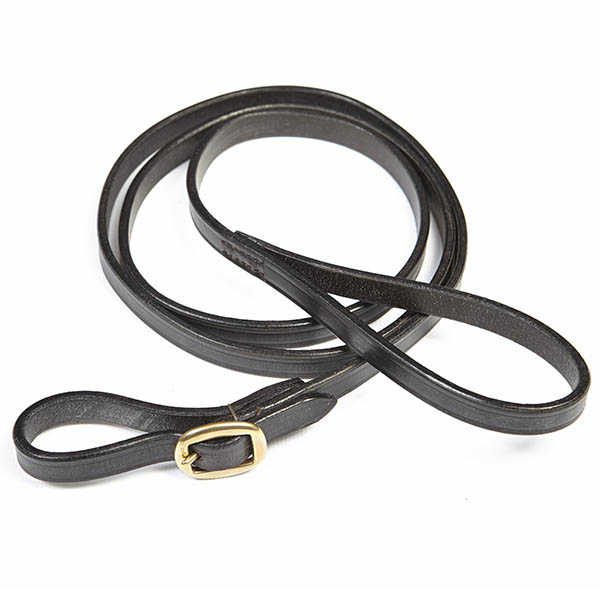 Reins