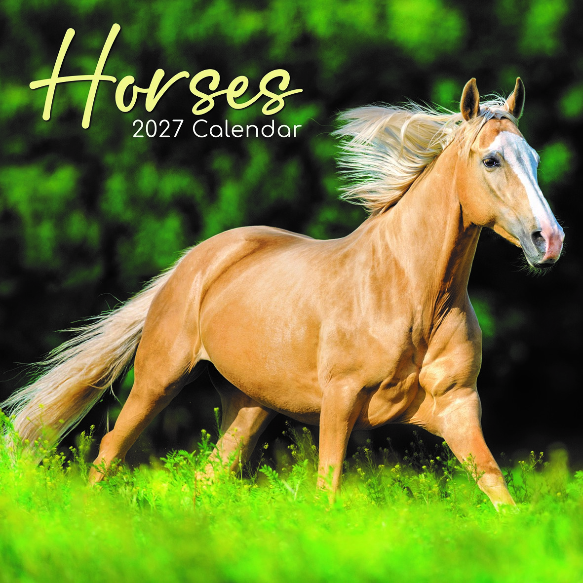 2027-horses-front