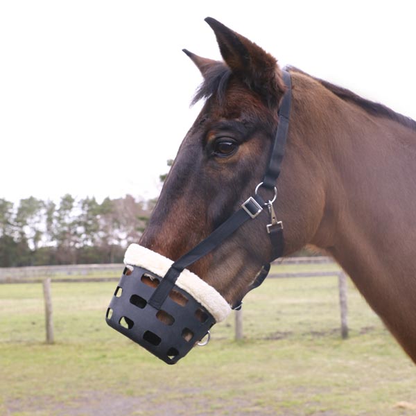 elico-muzzle-horse