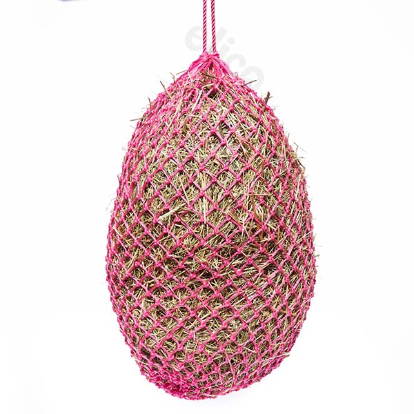 haynet-micro-piggy