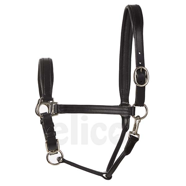 Elico Bremen Headcollar - Brown Pony