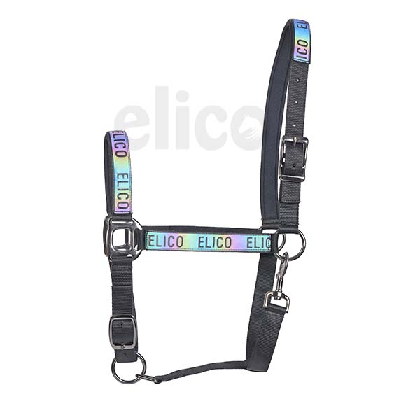 headcollar-ryedale-bright