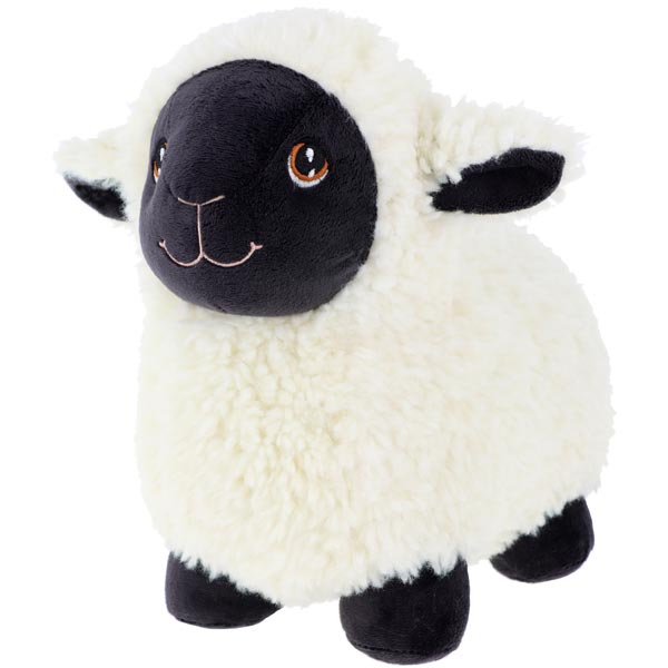 keel-black-face-sheep
