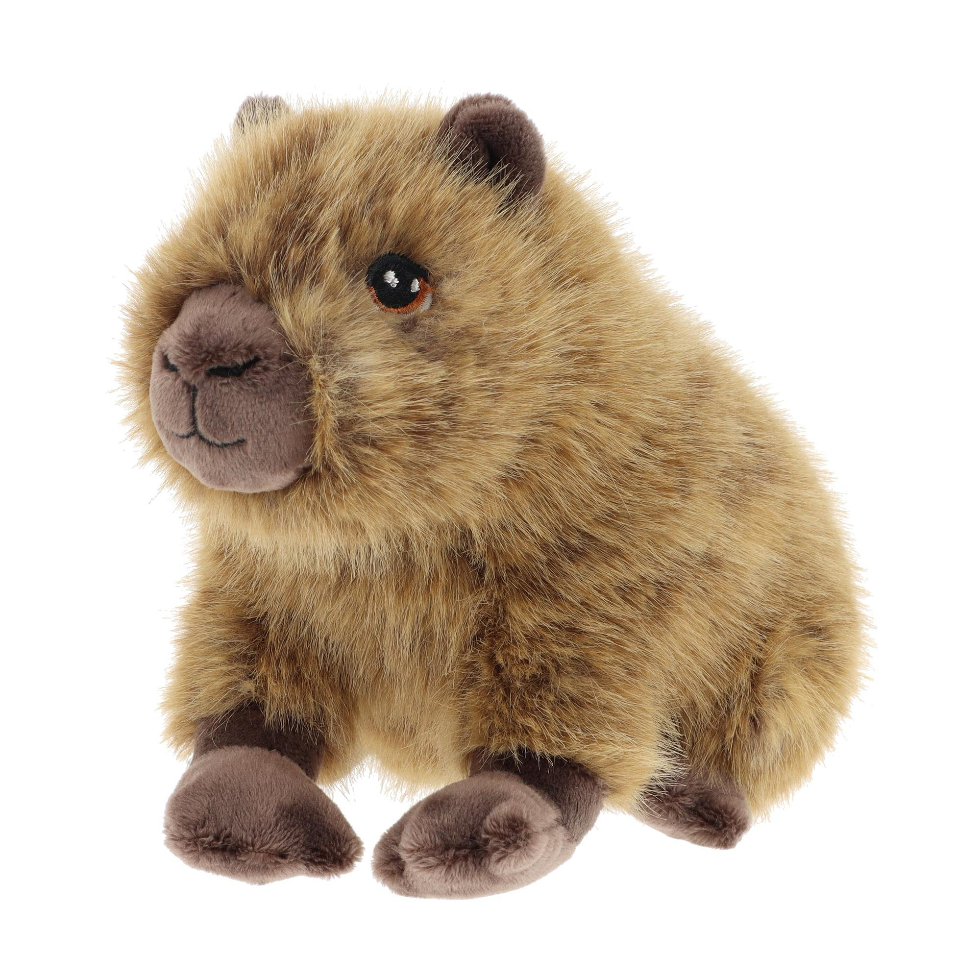 keel-cabybara