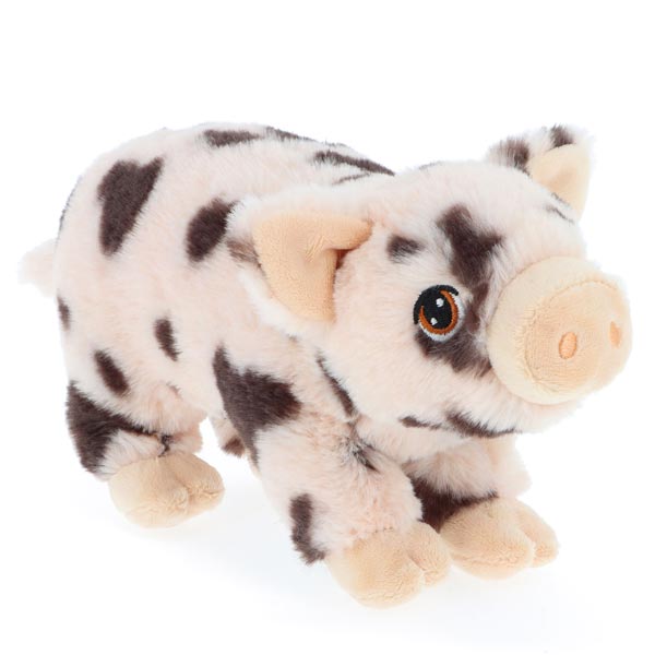 keel-spotty-pig