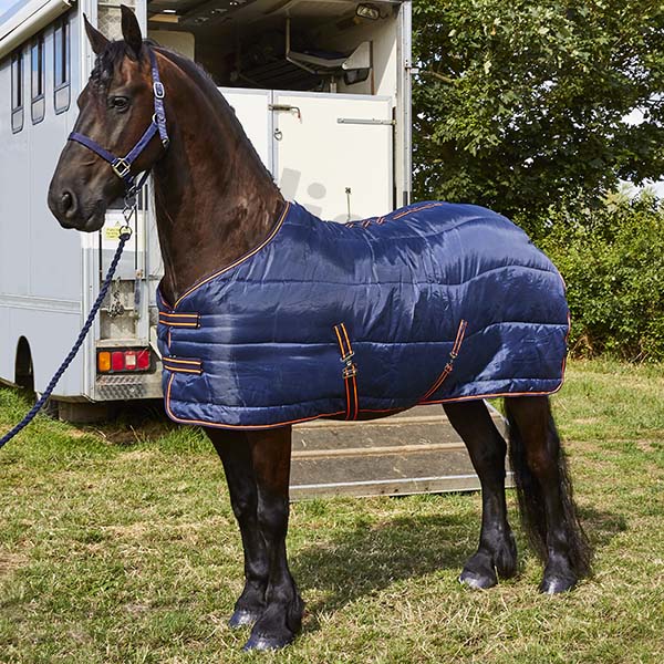 Elico Easington (200) Stable Rugs