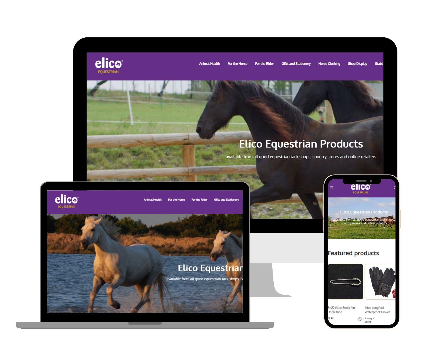 New Elico RRP Website