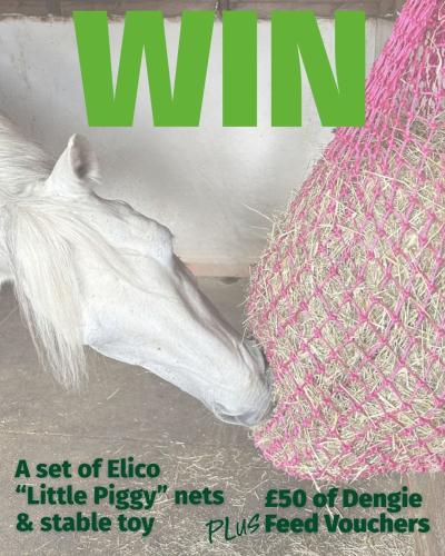 Five Lucky Winners will each receive ......